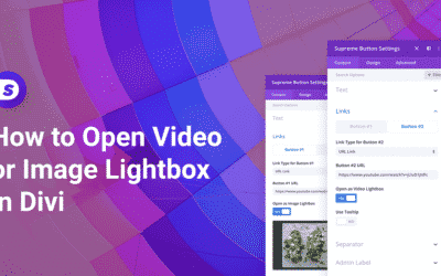 How to Open Video or Image Lightbox in Divi