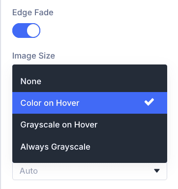 Divi Supreme Marquee module image filter options: none, colour on hover, grayscale on hover, always grayscale