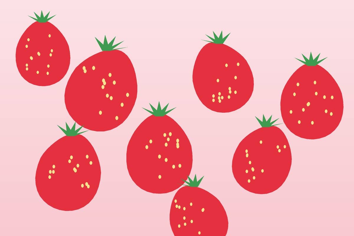 Strawberries Illustration: strawberries